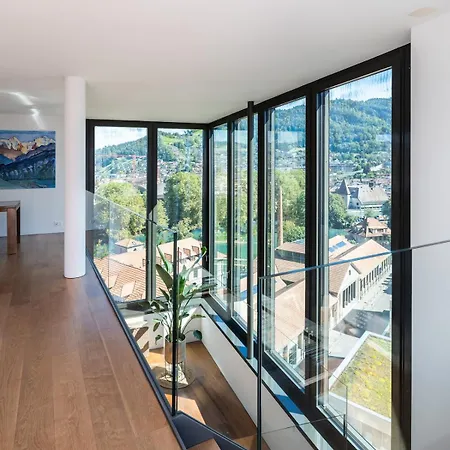 Exclusive Sky Penthouse In Thun