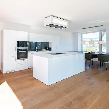 Exclusive Sky Penthouse In * Thun